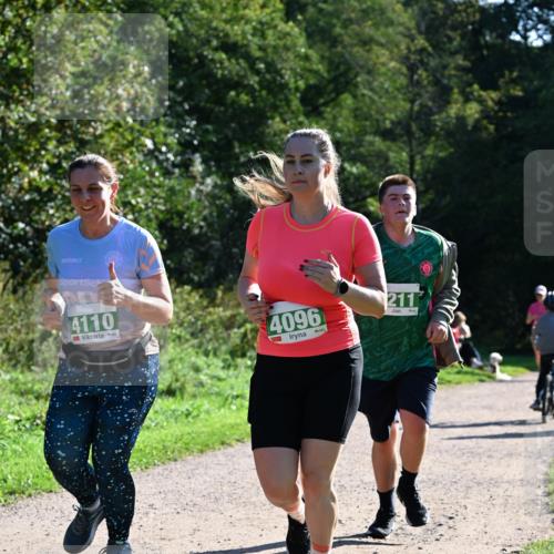 27.09.2026 - 35. Volkslauf durch das schöne Alstertal Dr. Thomas Lammeyer http://msf.ph/oto/10569182 27.09.2026 10:56:26 Laufen 4110, 4096, 211 meine-sportfotos.de