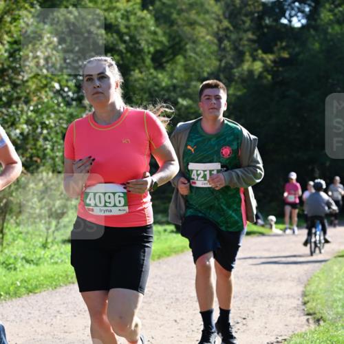 27.09.2026 - 35. Volkslauf durch das schöne Alstertal Dr. Thomas Lammeyer http://msf.ph/oto/10569185 27.09.2026 10:56:26 Laufen 4096, 421 meine-sportfotos.de