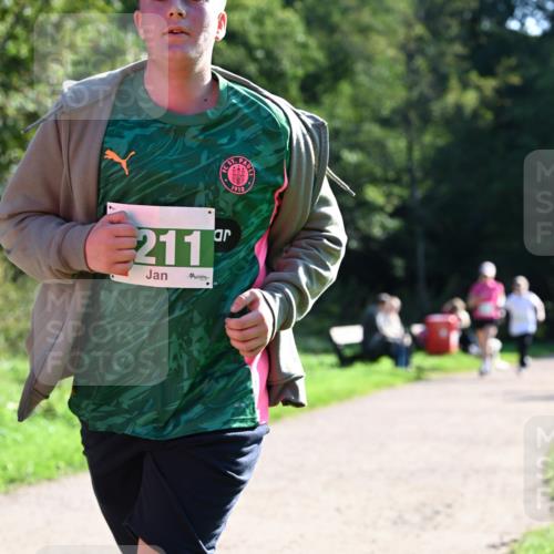 27.09.2026 - 35. Volkslauf durch das schöne Alstertal Dr. Thomas Lammeyer http://msf.ph/oto/10569193 27.09.2026 10:56:27 Laufen 211, 1910 meine-sportfotos.de