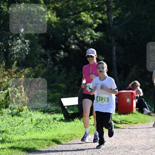 27.09.2026 - 35. Volkslauf durch das schöne Alstertal Dr. Thomas Lammeyer http://msf.ph/oto/10569196 27.09.2026 10:56:30 Laufen 4128 meine-sportfotos.de