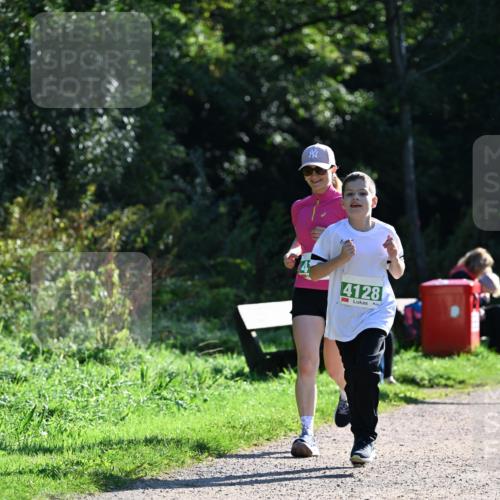 27.09.2026 - 35. Volkslauf durch das schöne Alstertal Dr. Thomas Lammeyer http://msf.ph/oto/10569197 27.09.2026 10:56:30 Laufen 4128 meine-sportfotos.de