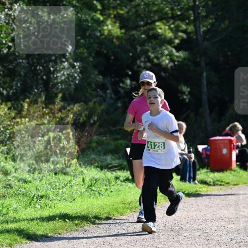 27.09.2026 - 35. Volkslauf durch das schöne Alstertal Dr. Thomas Lammeyer http://msf.ph/oto/10569200 27.09.2026 10:56:30 Laufen 4128 meine-sportfotos.de