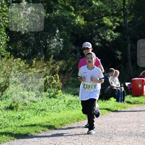 27.09.2026 - 35. Volkslauf durch das schöne Alstertal Dr. Thomas Lammeyer http://msf.ph/oto/10569203 27.09.2026 10:56:31 Laufen 4128 meine-sportfotos.de