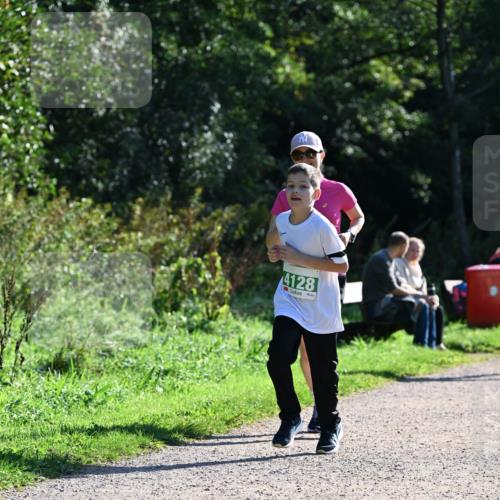 27.09.2026 - 35. Volkslauf durch das schöne Alstertal Dr. Thomas Lammeyer http://msf.ph/oto/10569204 27.09.2026 10:56:31 Laufen 4128 meine-sportfotos.de