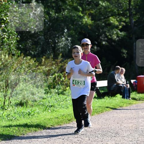 27.09.2026 - 35. Volkslauf durch das schöne Alstertal Dr. Thomas Lammeyer http://msf.ph/oto/10569206 27.09.2026 10:56:31 Laufen 4128 meine-sportfotos.de