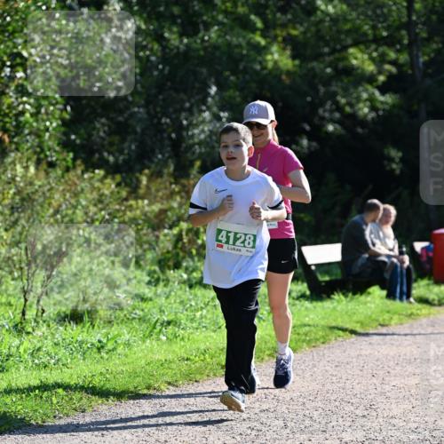 27.09.2026 - 35. Volkslauf durch das schöne Alstertal Dr. Thomas Lammeyer http://msf.ph/oto/10569207 27.09.2026 10:56:31 Laufen 4128 meine-sportfotos.de