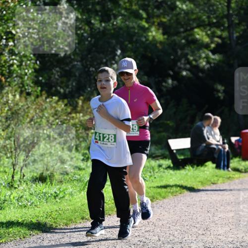 27.09.2026 - 35. Volkslauf durch das schöne Alstertal Dr. Thomas Lammeyer http://msf.ph/oto/10569209 27.09.2026 10:56:31 Laufen 4128, 19 meine-sportfotos.de