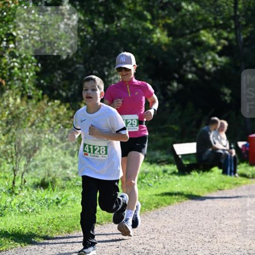 27.09.2026 - 35. Volkslauf durch das schöne Alstertal Dr. Thomas Lammeyer http://msf.ph/oto/10569210 27.09.2026 10:56:32 Laufen 4128, 29 meine-sportfotos.de