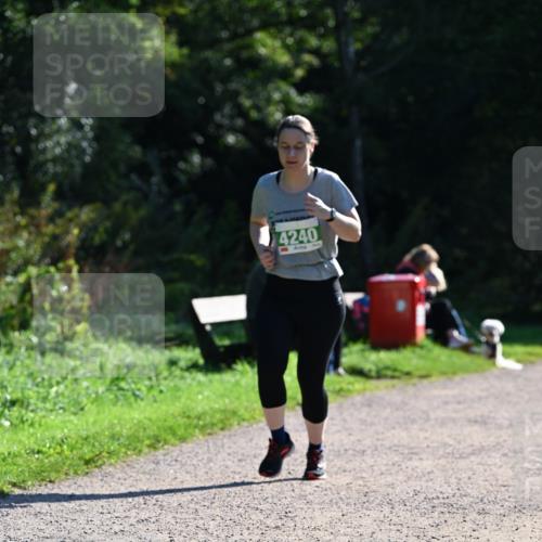 27.09.2026 - 35. Volkslauf durch das schöne Alstertal Dr. Thomas Lammeyer http://msf.ph/oto/10569216 27.09.2026 10:56:34 Laufen 4240 meine-sportfotos.de