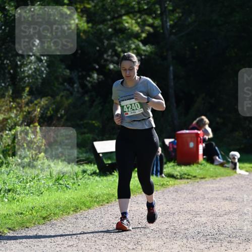 27.09.2026 - 35. Volkslauf durch das schöne Alstertal Dr. Thomas Lammeyer http://msf.ph/oto/10569217 27.09.2026 10:56:34 Laufen 4240 meine-sportfotos.de