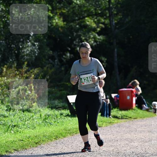 27.09.2026 - 35. Volkslauf durch das schöne Alstertal Dr. Thomas Lammeyer http://msf.ph/oto/10569218 27.09.2026 10:56:34 Laufen 2026, 4246 meine-sportfotos.de