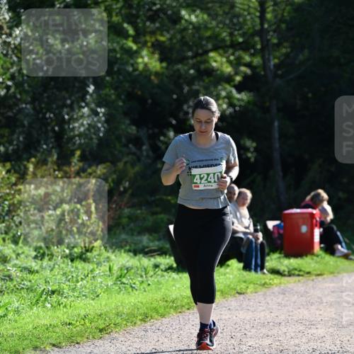 27.09.2026 - 35. Volkslauf durch das schöne Alstertal Dr. Thomas Lammeyer http://msf.ph/oto/10569219 27.09.2026 10:56:34 Laufen 2026, 4240 meine-sportfotos.de