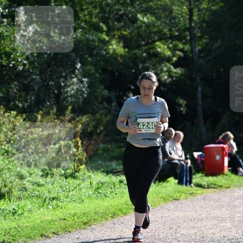27.09.2026 - 35. Volkslauf durch das schöne Alstertal Dr. Thomas Lammeyer http://msf.ph/oto/10569220 27.09.2026 10:56:34 Laufen 2026, 4240 meine-sportfotos.de