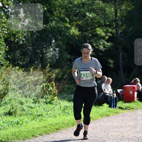 27.09.2026 - 35. Volkslauf durch das schöne Alstertal Dr. Thomas Lammeyer http://msf.ph/oto/10569221 27.09.2026 10:56:34 Laufen 24, 4240 meine-sportfotos.de