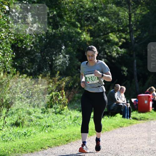 27.09.2026 - 35. Volkslauf durch das schöne Alstertal Dr. Thomas Lammeyer http://msf.ph/oto/10569222 27.09.2026 10:56:35 Laufen 4240 meine-sportfotos.de