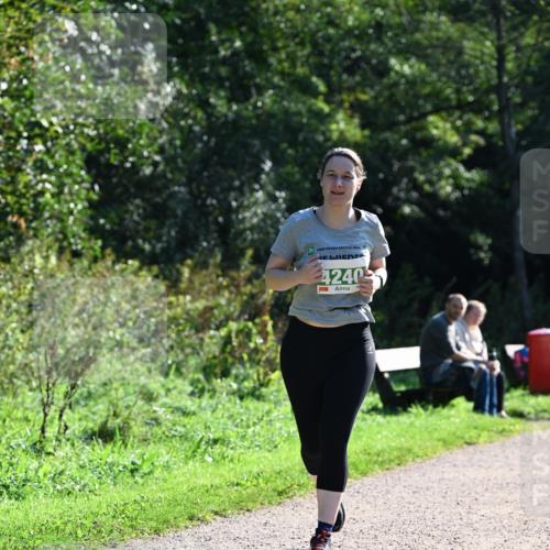 27.09.2026 - 35. Volkslauf durch das schöne Alstertal Dr. Thomas Lammeyer http://msf.ph/oto/10569225 27.09.2026 10:56:35 Laufen 2026, 4240 meine-sportfotos.de