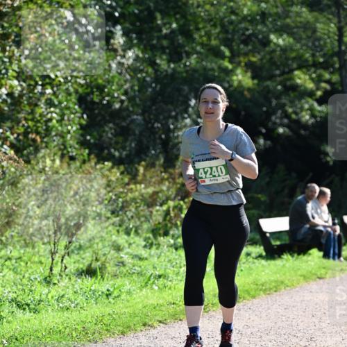27.09.2026 - 35. Volkslauf durch das schöne Alstertal Dr. Thomas Lammeyer http://msf.ph/oto/10569227 27.09.2026 10:56:35 Laufen 4240 meine-sportfotos.de