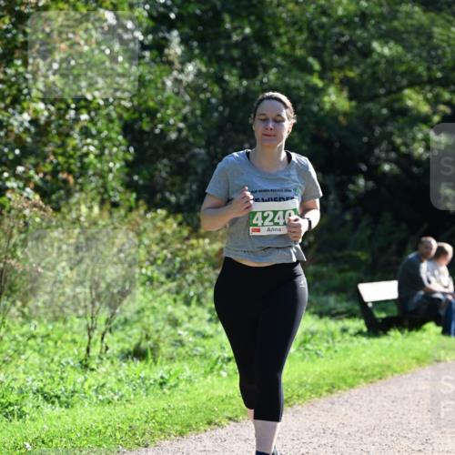 27.09.2026 - 35. Volkslauf durch das schöne Alstertal Dr. Thomas Lammeyer http://msf.ph/oto/10569230 27.09.2026 10:56:36 Laufen 2026, 14246 meine-sportfotos.de