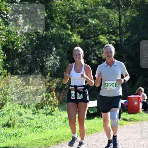 27.09.2026 - 35. Volkslauf durch das schöne Alstertal Dr. Thomas Lammeyer http://msf.ph/oto/10569242 27.09.2026 10:56:49 Laufen 4224 meine-sportfotos.de