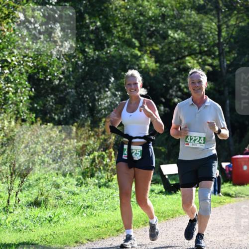 27.09.2026 - 35. Volkslauf durch das schöne Alstertal Dr. Thomas Lammeyer http://msf.ph/oto/10569244 27.09.2026 10:56:49 Laufen 425, 4224 meine-sportfotos.de