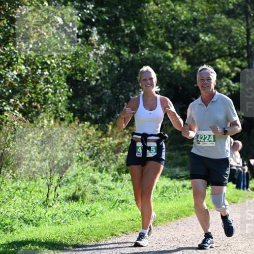 27.09.2026 - 35. Volkslauf durch das schöne Alstertal Dr. Thomas Lammeyer http://msf.ph/oto/10569247 27.09.2026 10:56:50 Laufen 4224 meine-sportfotos.de