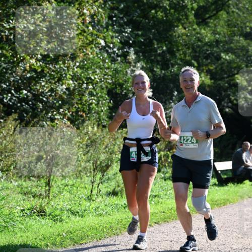 27.09.2026 - 35. Volkslauf durch das schöne Alstertal Dr. Thomas Lammeyer http://msf.ph/oto/10569253 27.09.2026 10:56:51 Laufen 4224 meine-sportfotos.de