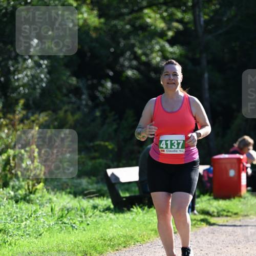 27.09.2026 - 35. Volkslauf durch das schöne Alstertal Dr. Thomas Lammeyer http://msf.ph/oto/10569263 27.09.2026 10:57:02 Laufen 4137 meine-sportfotos.de