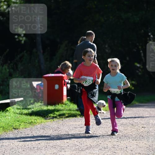 27.09.2026 - 35. Volkslauf durch das schöne Alstertal Dr. Thomas Lammeyer http://msf.ph/oto/10569297 27.09.2026 10:57:21 Laufen 35 meine-sportfotos.de