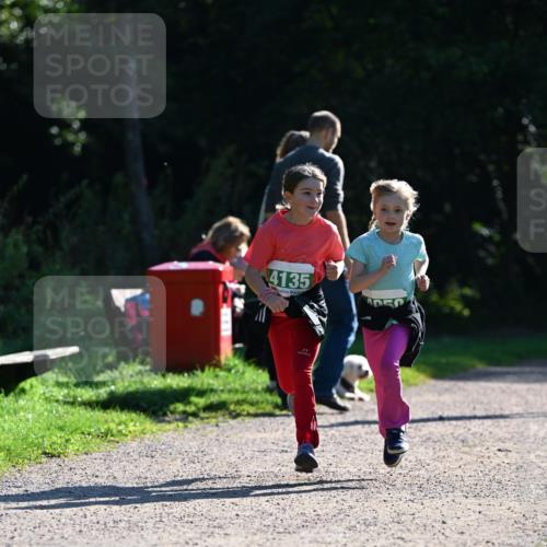 27.09.2026 - 35. Volkslauf durch das schöne Alstertal Dr. Thomas Lammeyer http://msf.ph/oto/10569298 27.09.2026 10:57:21 Laufen 4135 meine-sportfotos.de