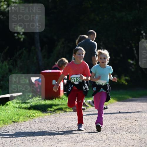 27.09.2026 - 35. Volkslauf durch das schöne Alstertal Dr. Thomas Lammeyer http://msf.ph/oto/10569299 27.09.2026 10:57:21 Laufen 4135 meine-sportfotos.de