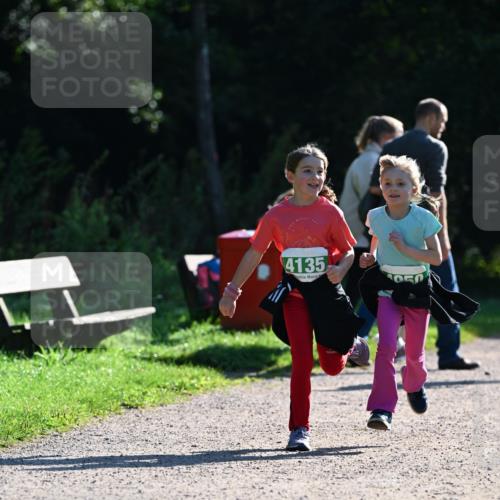 27.09.2026 - 35. Volkslauf durch das schöne Alstertal Dr. Thomas Lammeyer http://msf.ph/oto/10569301 27.09.2026 10:57:21 Laufen 4135, 050 meine-sportfotos.de