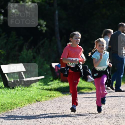 27.09.2026 - 35. Volkslauf durch das schöne Alstertal Dr. Thomas Lammeyer http://msf.ph/oto/10569303 27.09.2026 10:57:22 Laufen  meine-sportfotos.de