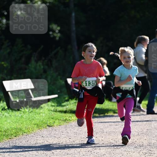 27.09.2026 - 35. Volkslauf durch das schöne Alstertal Dr. Thomas Lammeyer http://msf.ph/oto/10569304 27.09.2026 10:57:22 Laufen 4135 meine-sportfotos.de