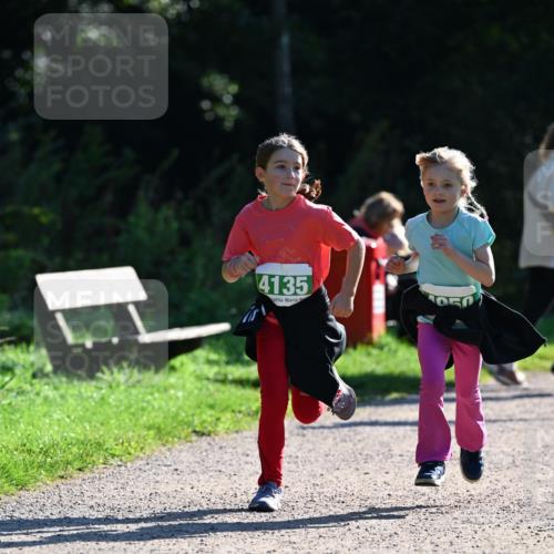 27.09.2026 - 35. Volkslauf durch das schöne Alstertal Dr. Thomas Lammeyer http://msf.ph/oto/10569306 27.09.2026 10:57:22 Laufen 4135, 050 meine-sportfotos.de