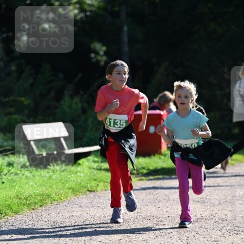 27.09.2026 - 35. Volkslauf durch das schöne Alstertal Dr. Thomas Lammeyer http://msf.ph/oto/10569307 27.09.2026 10:57:22 Laufen 4135 meine-sportfotos.de