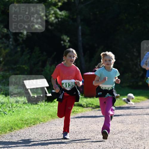 27.09.2026 - 35. Volkslauf durch das schöne Alstertal Dr. Thomas Lammeyer http://msf.ph/oto/10569309 27.09.2026 10:57:23 Laufen 4135 meine-sportfotos.de
