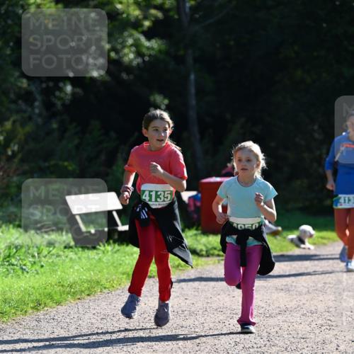 27.09.2026 - 35. Volkslauf durch das schöne Alstertal Dr. Thomas Lammeyer http://msf.ph/oto/10569310 27.09.2026 10:57:23 Laufen 4135, 413 meine-sportfotos.de