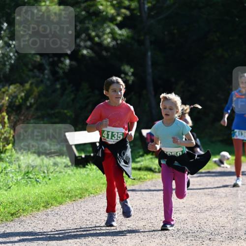 27.09.2026 - 35. Volkslauf durch das schöne Alstertal Dr. Thomas Lammeyer http://msf.ph/oto/10569312 27.09.2026 10:57:23 Laufen 4135, 14136 meine-sportfotos.de