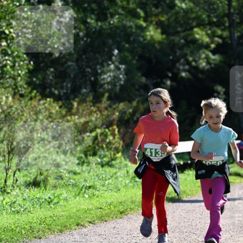 27.09.2026 - 35. Volkslauf durch das schöne Alstertal Dr. Thomas Lammeyer http://msf.ph/oto/10569314 27.09.2026 10:57:24 Laufen 4135, 052 meine-sportfotos.de
