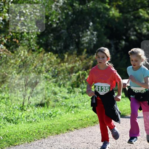 27.09.2026 - 35. Volkslauf durch das schöne Alstertal Dr. Thomas Lammeyer http://msf.ph/oto/10569316 27.09.2026 10:57:24 Laufen 4135 meine-sportfotos.de