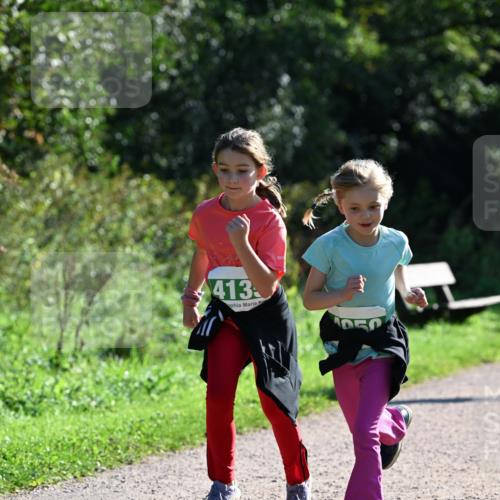 27.09.2026 - 35. Volkslauf durch das schöne Alstertal Dr. Thomas Lammeyer http://msf.ph/oto/10569319 27.09.2026 10:57:25 Laufen 413 meine-sportfotos.de