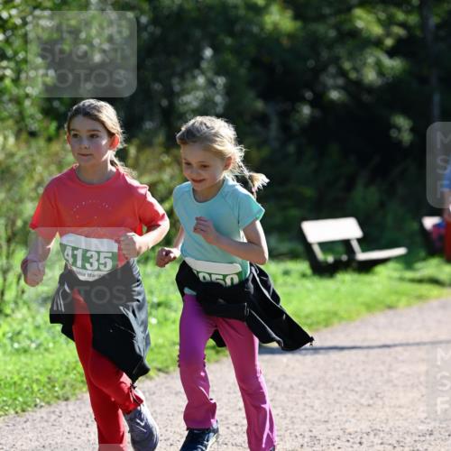 27.09.2026 - 35. Volkslauf durch das schöne Alstertal Dr. Thomas Lammeyer http://msf.ph/oto/10569320 27.09.2026 10:57:25 Laufen 4135 meine-sportfotos.de