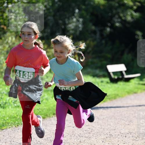 27.09.2026 - 35. Volkslauf durch das schöne Alstertal Dr. Thomas Lammeyer http://msf.ph/oto/10569321 27.09.2026 10:57:25 Laufen 4135 meine-sportfotos.de