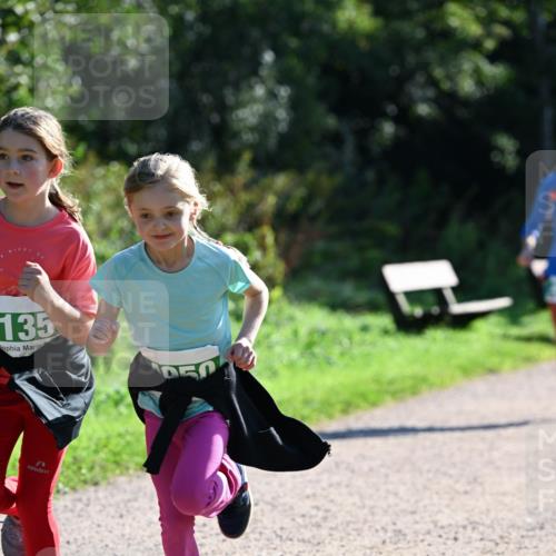 27.09.2026 - 35. Volkslauf durch das schöne Alstertal Dr. Thomas Lammeyer http://msf.ph/oto/10569322 27.09.2026 10:57:25 Laufen 135, 050 meine-sportfotos.de