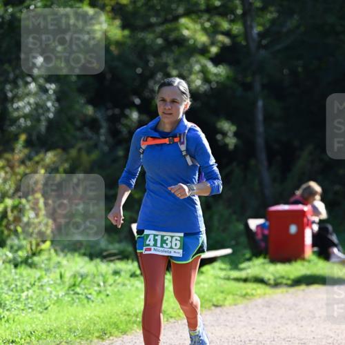 27.09.2026 - 35. Volkslauf durch das schöne Alstertal Dr. Thomas Lammeyer http://msf.ph/oto/10569324 27.09.2026 10:57:26 Laufen 4136 meine-sportfotos.de