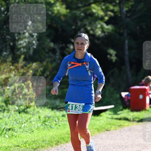27.09.2026 - 35. Volkslauf durch das schöne Alstertal Dr. Thomas Lammeyer http://msf.ph/oto/10569325 27.09.2026 10:57:26 Laufen 4136 meine-sportfotos.de