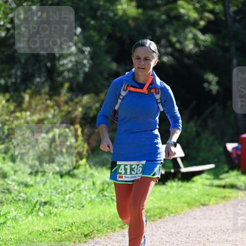 27.09.2026 - 35. Volkslauf durch das schöne Alstertal Dr. Thomas Lammeyer http://msf.ph/oto/10569327 27.09.2026 10:57:27 Laufen 4136 meine-sportfotos.de