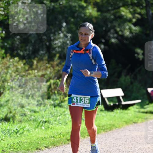 27.09.2026 - 35. Volkslauf durch das schöne Alstertal Dr. Thomas Lammeyer http://msf.ph/oto/10569329 27.09.2026 10:57:27 Laufen 4136 meine-sportfotos.de