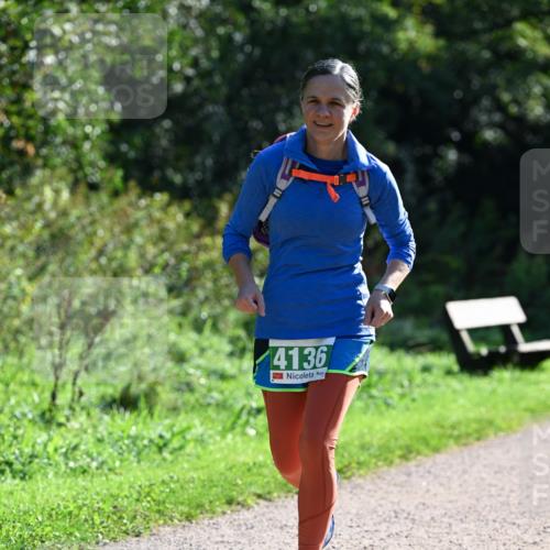 27.09.2026 - 35. Volkslauf durch das schöne Alstertal Dr. Thomas Lammeyer http://msf.ph/oto/10569332 27.09.2026 10:57:27 Laufen 4136 meine-sportfotos.de