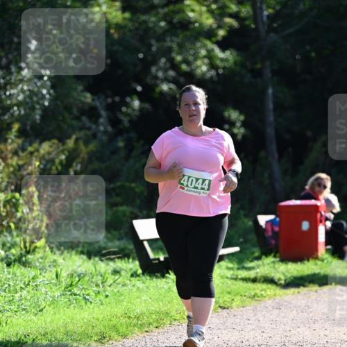 27.09.2026 - 35. Volkslauf durch das schöne Alstertal Dr. Thomas Lammeyer http://msf.ph/oto/10569339 27.09.2026 10:57:32 Laufen 4044 meine-sportfotos.de